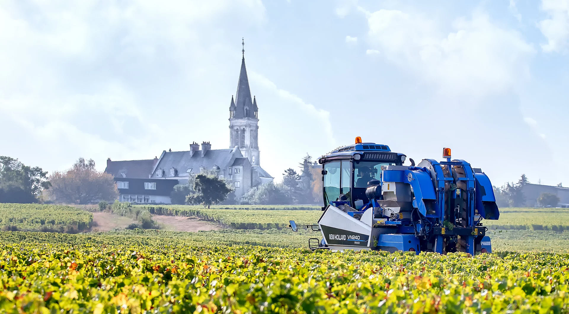 Domaine_Chaveau_II